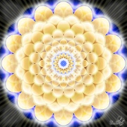 Enlarge Infinity Bloom Photo