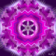 Enlarge Violet Patterns Photo