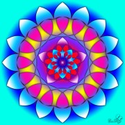 Enlarge Sixteen petals Photo