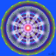 Enlarge Life cycles Photo