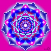 Enlarge Nine petals Photo