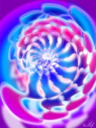 Enlarge Astral snail Photo