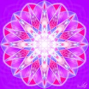 Enlarge Purple jewel Photo