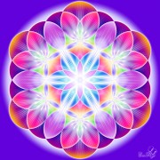 Enlarge Flower of life Photo