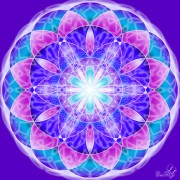 Enlarge Flower of life 2 Photo