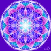 Enlarge Flower of life 2 Photo