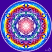 Enlarge Flower of life 3 Photo