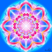 Enlarge Astral lotus Photo