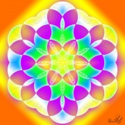 Enlarge Flower of life 6 Photo