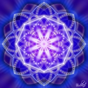 Enlarge Blue Lotus Photo