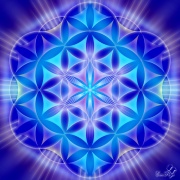 Enlarge Flower of life 7 Photo