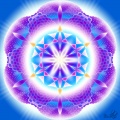 Abundance