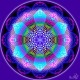 astral_network