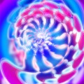 Astral snail