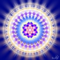 Blue Jewel