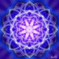 Blue Lotus
