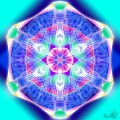 Blue network