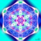 blue_network