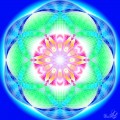 Chakra with six petals