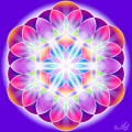 Flower of life