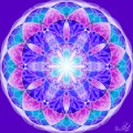 Flower of life 2