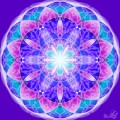 Flower of life 2