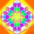 Flower of life 6
