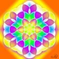 Flower of life 6