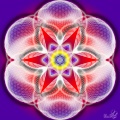 Flower of Life Pattern