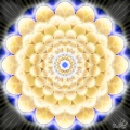 Infinity Bloom
