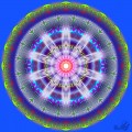 Life cycles