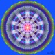 life_cycles