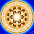 Light Seed