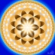 light_seed