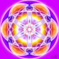 Love arise