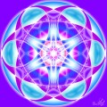 Love arise 2