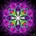 Magic flower
