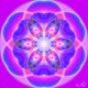 purple_chakra