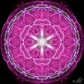 Purple spirit