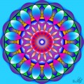 Sixteen petals 2