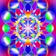 universal_eg_2