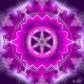 Violet Patterns
