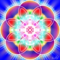 Yang Chakra