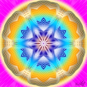 Mareste Poza Fluture 2