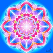 Mareste Poza Lotusul astral