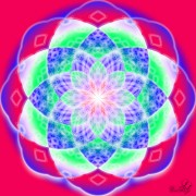 Mareste Poza Lotus radiant