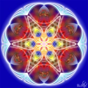 Mareste Poza Floare Fractala