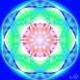 chakra_cu_sase_petale