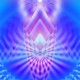 concert_de_lumina_2