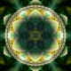 cosmic_14002